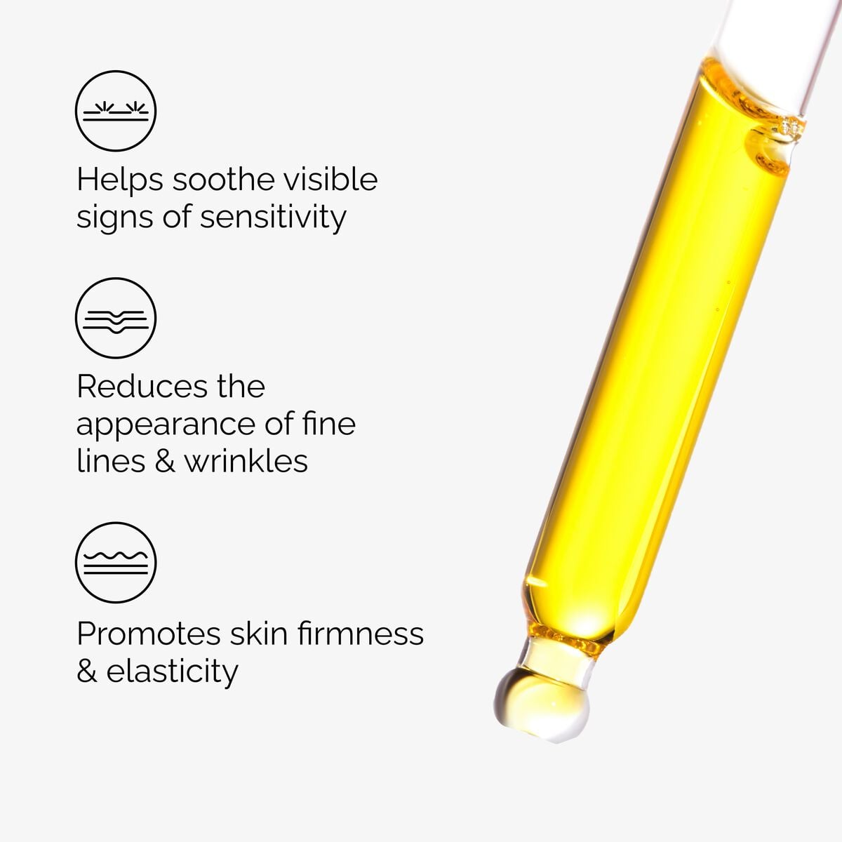 100-fermented-rose-hip-seed-oil-v4 100pct-fermented-rose-hip-key-ingredients.jpg